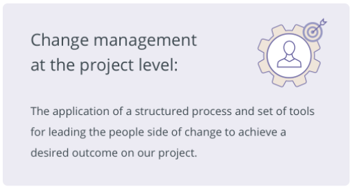Project level change management